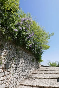 Walk around Forcalquier in the Alpes de Haute Provence, France
