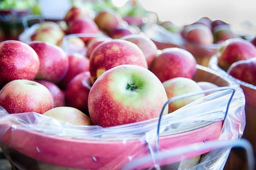 Large bushel basket full of fresh locally grown red apples at local farmers market