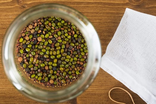 Mung Beans and other beans and seeds in sprouting jar viewed from directly above.