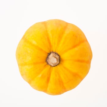 Acorn Squash from above isolated on white background.