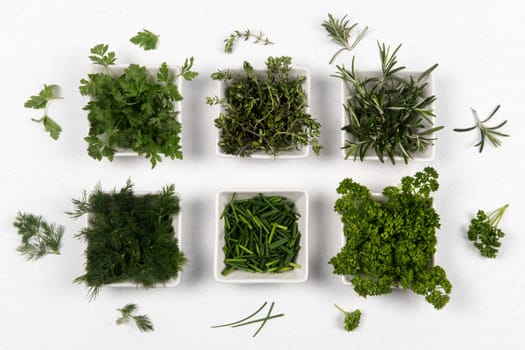 Fresh organic healthy green herbs and spices in six white little plate on white background.