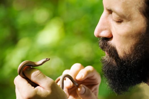 The bearded biologist is holding a little snake in hands on green background.