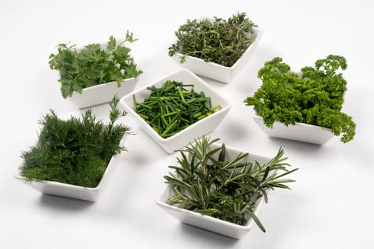Fresh green herbs and spices for seasoning and decoration in six white little plate on white background.