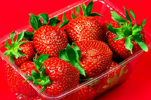 Red ripe strawberries are in plastic package on red background.