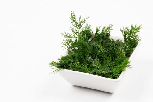 Fresh dill green herb and spice for seasoning is in white dish on white background.