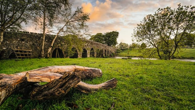 Old 12th century stone arch bridge over a river, tree trunks or logs on first plane. Green fields and trees. Dramatic sky sunset. Count Meath, Ireland