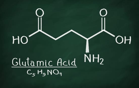 Structural model of Glutamic Acid on the blackboard.