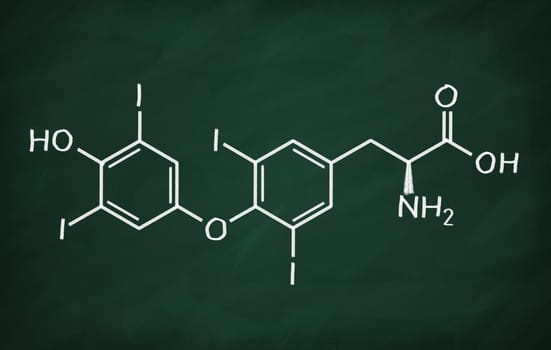 Structural model of Thyroxin on the blackboard.