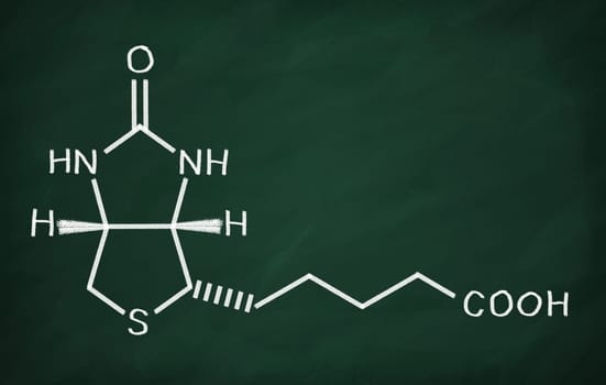 Structural model of Vitamin B6 (Biotin) on the blackboard.