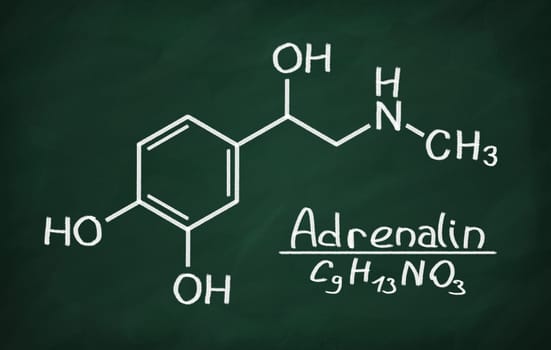 Structural model of Adrenalin on the blackboard.