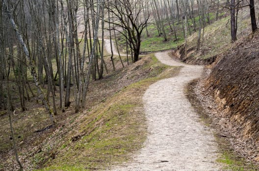 Forest pathway in early spring. In Lithuania