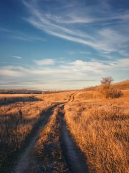 Vertical shot, late autumn scene with a dirt road crossing a dry grass field. Idyllic rural landscape, fall season mood, country track pathway across a  hay meadow, peaceful view.
