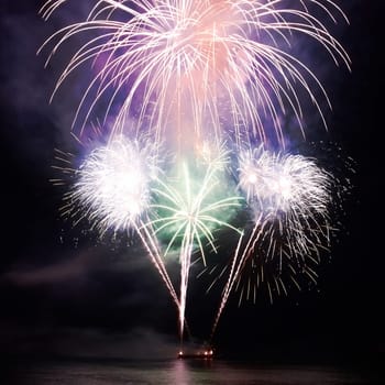 Colorful red fireworks on the black sky background
