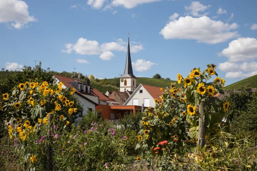 Escherndorf in Franconia, in autumn