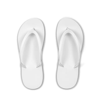 Pair of blank flip flops. 3d illustration isolated on white background