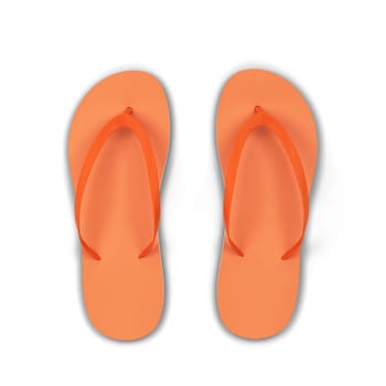 Pair of blank flip flops. 3d illustration isolated on white background