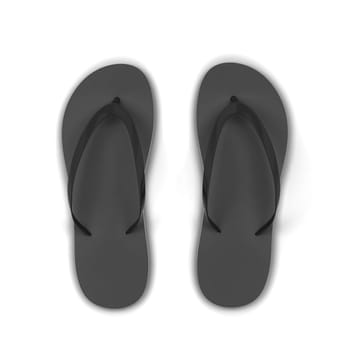 Pair of blank flip flops. 3d illustration isolated on white background