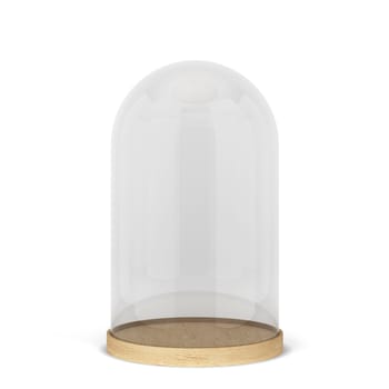 Glass dome on a stand. 3d illustration isolated on white background