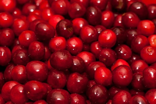 Close up of cherries. Full frame of Red cherries.