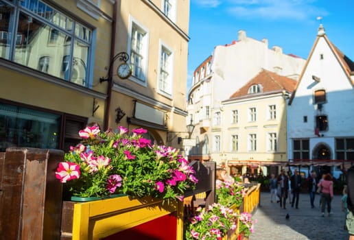 Sunny Old Town street view, flowers by restaurant, people sightseeing, Tallinn, Estonia