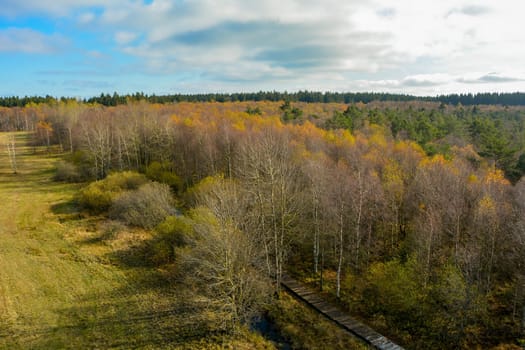 Autumn trees, from above with a path and small brook in the Black Moor in the Rhön, Germany
