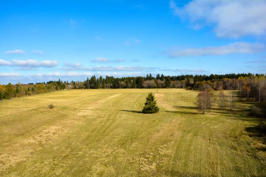 Green big meadow from above, with trees, forest and blue sky in the Rhön, Bavaria, Germany, with copy space