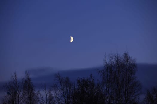 rising month in thenightly sky