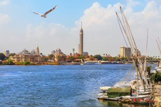 Yachts near the pier, the Nile and the Cairo Tower, Egypt.