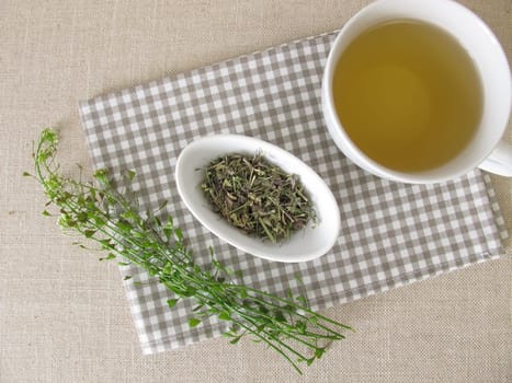 A cup of shepherds purse herbal tea