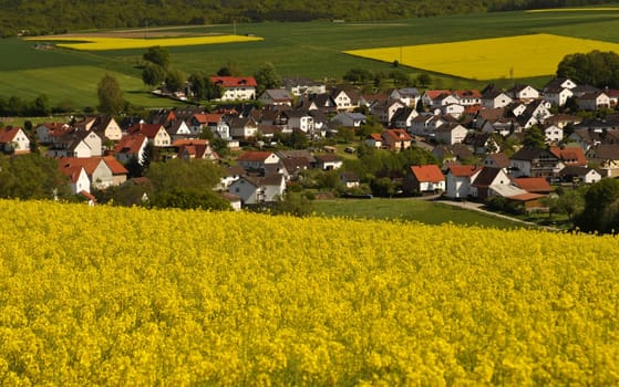 Hombressen