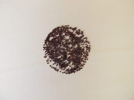 Edible brown-black seeds from wild field pennycress on a wooden board