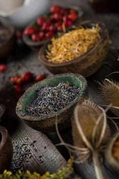 Fresh medicinal herbs on wooden background
