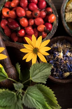 Homeopathy, herbal medicine on wooden table
