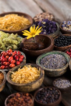 Homeopathy, herbal medicine on wooden table