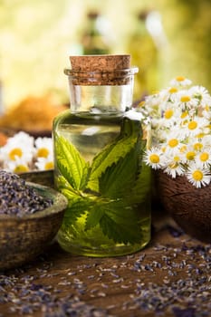 Fresh herbs and oils, wooden table background