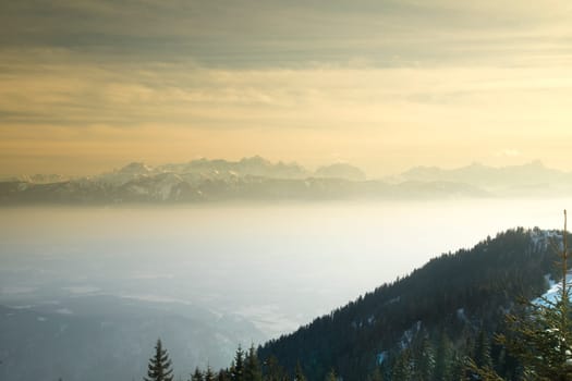 Winter trees in mountains, nature landscape