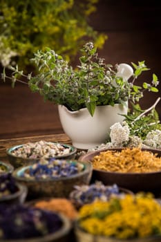 Fresh medicinal herbs on wooden background