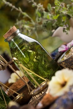 Fresh medicinal herbs on wooden background