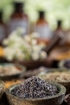 Fresh medicinal herbs on wooden background