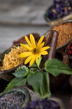 Natural remedy,Herbal medicine and wooden table background