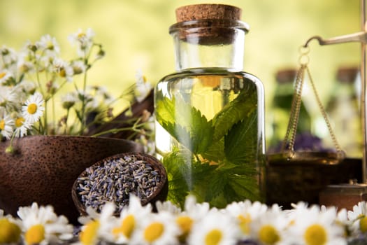Fresh herbs and oils, wooden table background