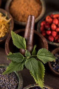 Homeopathy, herbal medicine on wooden table