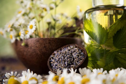 Fresh herbs and oils, wooden table background