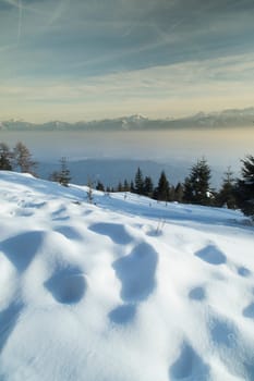 Fantastic winter landscape, sunset, snow covered trees