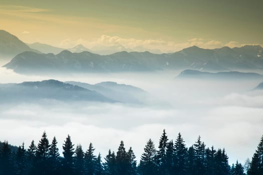 Mountains, trees covered with white snow