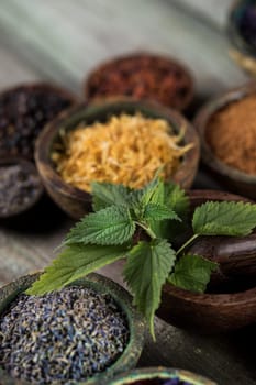 Alternative medicine, dried herbs background