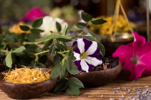 Fresh medicinal herbs on wooden background