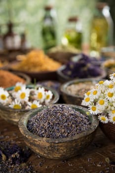 Homeopathy, herbal medicine on wooden table