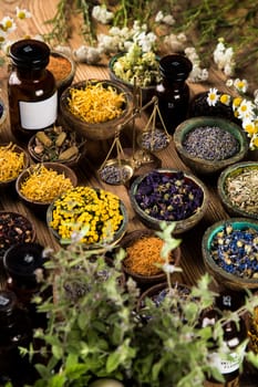 Alternative medicine, dried herbs background