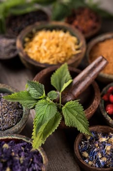 Homeopathy, herbal medicine on wooden table